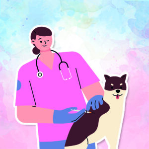 Ausbildung: Tiermedizinischer Fachangestellter m/w/d